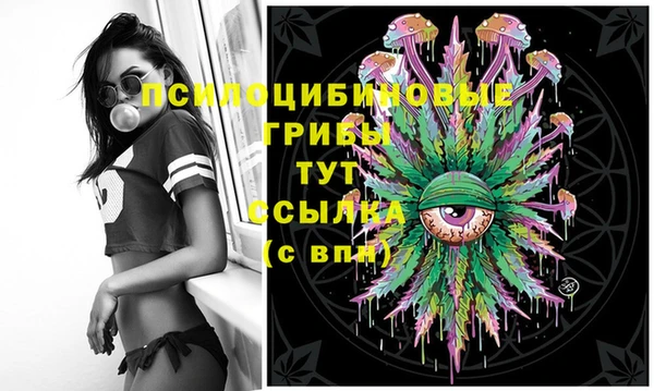 амф Алзамай