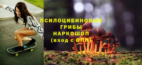 PSILOCYBIN Алексин