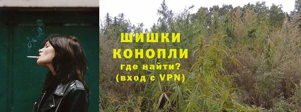 PSILOCYBIN Алексин