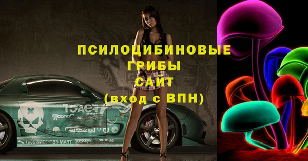 PSILOCYBIN Алексин