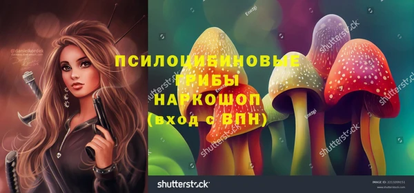герыч Михайловск