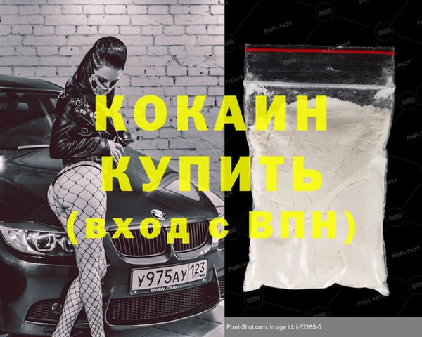 индика Михайлов