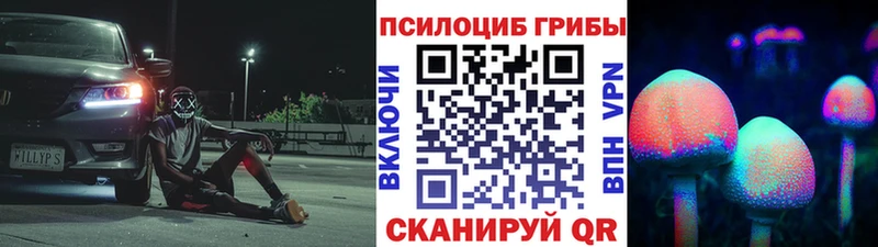 Псилоцибиновые грибы Psilocybine cubensis  Чаплыгин 